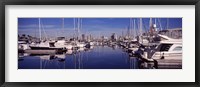 Framed Sailboats at a harbor, Long Beach, Los Angeles County, California, USA