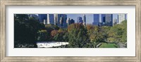 Framed Ice rink in a park, Wollman Rink, Central Park, Manhattan, New York City, New York State, USA 2010