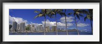 Framed Skyscrapers at the waterfront, Honolulu, Hawaii