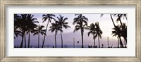 Framed Palm trees on the beach, Waikiki, Honolulu, Oahu, Hawaii (black and white)