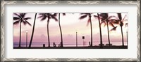 Framed Palm trees on the beach, Waikiki, Honolulu, Oahu, Hawaii