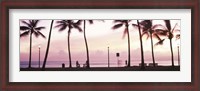 Framed Palm trees on the beach, Waikiki, Honolulu, Oahu, Hawaii