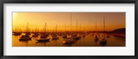 Framed Boats moored at a harbor at dusk, Chicago River, Chicago, Cook County, Illinois, USA