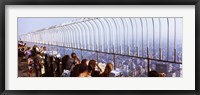 Framed Tourists at an observation point, Empire State Building, Manhattan, New York City, New York State, USA