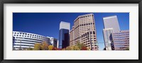 Framed Low angle view of skyscrapers, Downtown Denver, Denver, Colorado, USA 2011