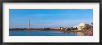 Framed Cherry blossoms at the Tidal Basin, Jefferson Memorial, Washington Monument, National Mall, Washington DC, USA