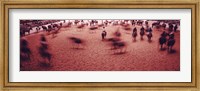 Framed Rodeo arena, Fort Worth Stock Show and Rodeo, Fort Worth, Texas, USA