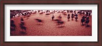 Framed Rodeo arena, Fort Worth Stock Show and Rodeo, Fort Worth, Texas, USA