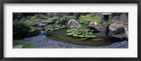 Framed Japanese Garden, University of California, Los Angeles