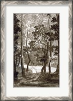 Framed Path Leading into a Forest Clearing