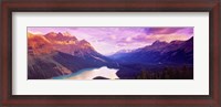 Framed Peyto Lake, Alberta, Canada
