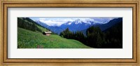 Framed Austria, Zillertaler, cabin