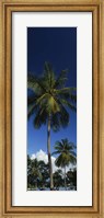 Framed USA, US Virgin Islands, Saint Thomas