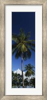 Framed USA, US Virgin Islands, Saint Thomas