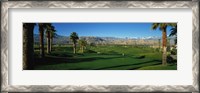 Framed Golf Course, Desert Springs, California, USA