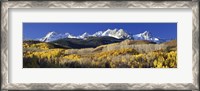 Framed USA, Colorado, Rocky Mountains, aspens, autumn