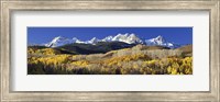 Framed USA, Colorado, Rocky Mountains, aspens, autumn