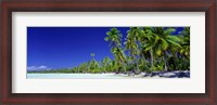 Framed Beach With Palm Trees, Bora Bora, Tahiti