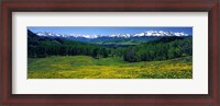 Framed San Miguel Mountains In Spring, Colorado, USA