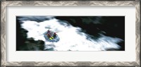 Framed White Water Rafting Salmon River CA USA