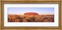 Framed Ayers Rock, Uluru-Kata Tjuta National Park, Australia