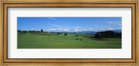 Framed View Along Rural Hillside, Zurich, Switzerland