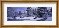 Framed Winter Road, Yosemite Park, California, USA