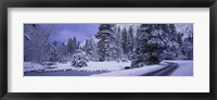 Framed Winter Road, Yosemite Park, California, USA