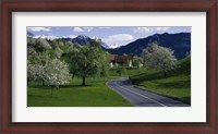 Framed Switzerland, Luzern, trees, road
