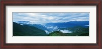 Framed China, Sichuan, Cloud Forest