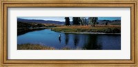 Framed Trout fisherman Slough Creek Yellowstone National Park WY