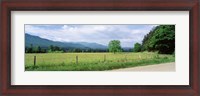 Framed Road Along A Grass Field, Cades Cove, Great Smoky Mountains National Park, Tennessee, USA