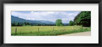 Framed Road Along A Grass Field, Cades Cove, Great Smoky Mountains National Park, Tennessee, USA