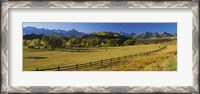 Framed Trees in a field, Colorado, USA