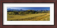 Framed Trees in a field, Colorado, USA