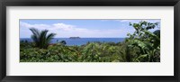 Framed Manuel Antonia National Park nr Quepos Costa Rica