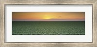 Framed High angle view of a lettuce field at sunset, Fresno, San Joaquin Valley, California, USA