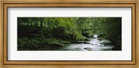 Framed River flowing in the forest, Aberfeldy, Perthshire, Scotland