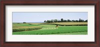 Framed Harvesting, Farm, Frederick County, Maryland, USA