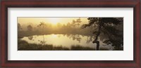 Framed Reflection of trees in a lake, Vastmanland, Sweden