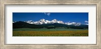 Framed Sawtooth Mtns Range Stanley ID USA