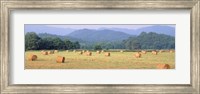 Framed Hay bales in a field, Murphy, North Carolina, USA