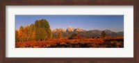 Framed Landscape in Grand Teton National Park WY