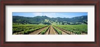 Framed Napa Valley Vineyards Hopland, CA