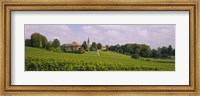 Framed WIne country with buildings in the background, Village near Geneva, Switzerland
