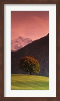 Framed Switzerland, Alps