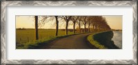 Framed Winding Road, Trees, Oudendijk, Netherlands