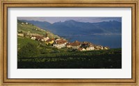 Framed Village on a hillside, Rivaz, Lavaux, Switzerland