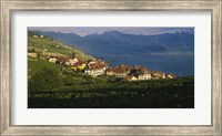 Framed Village on a hillside, Rivaz, Lavaux, Switzerland
