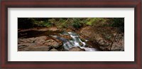 Framed White Water The Great Smoky Mountains TN USA